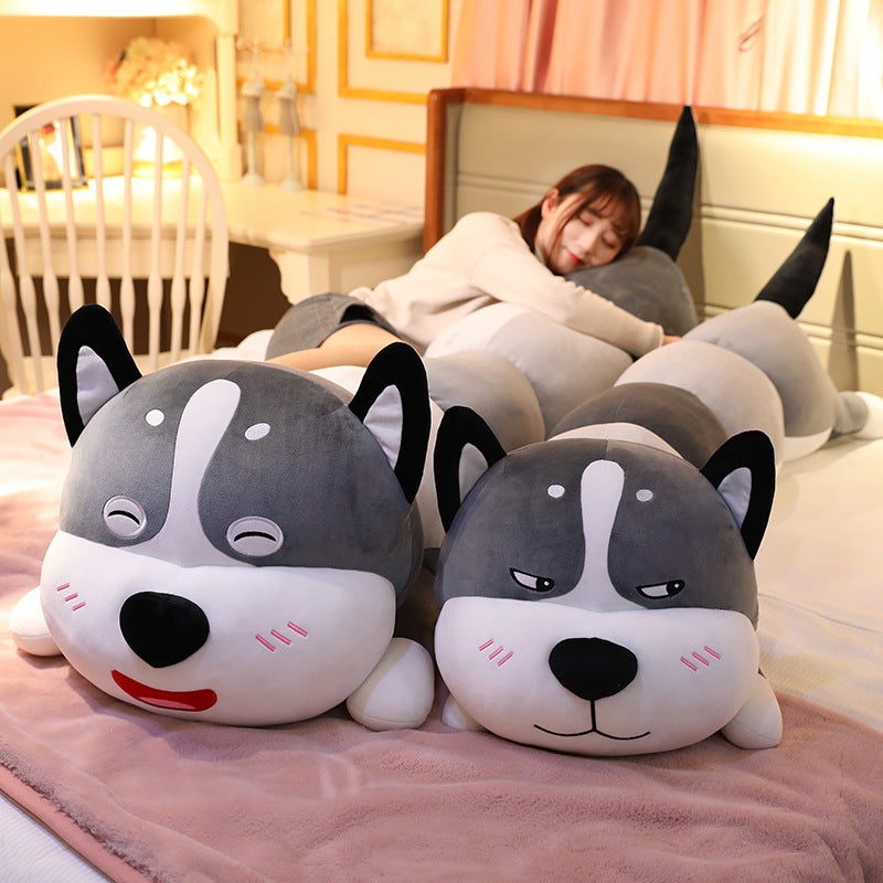 Dog Plush Toy